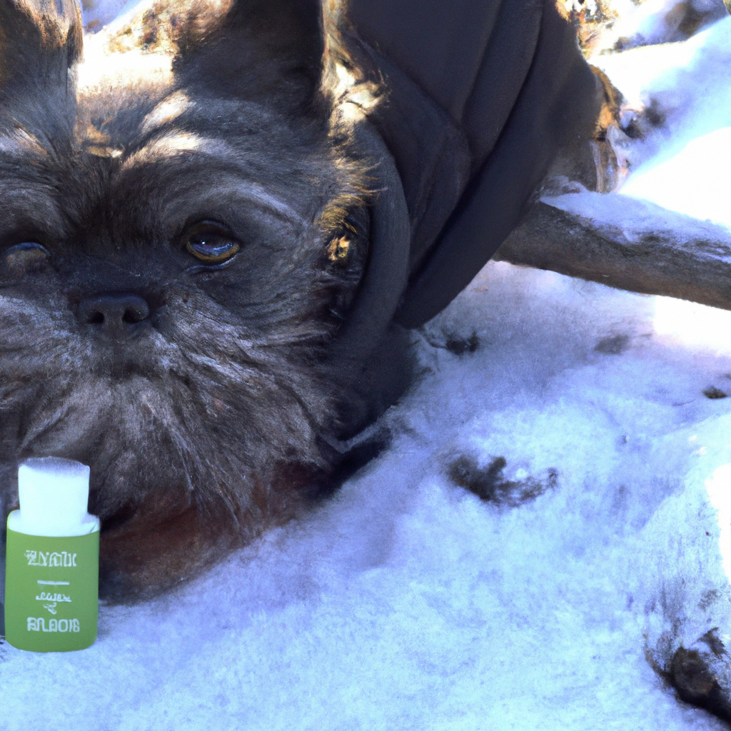 Essential winter care products for Affenpinschers