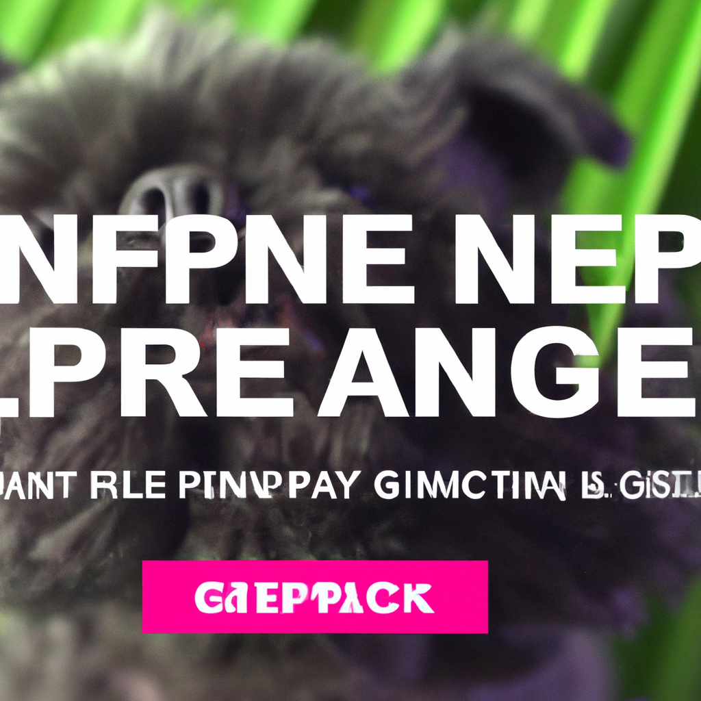 Helpful guide for Affenpinscher health issues